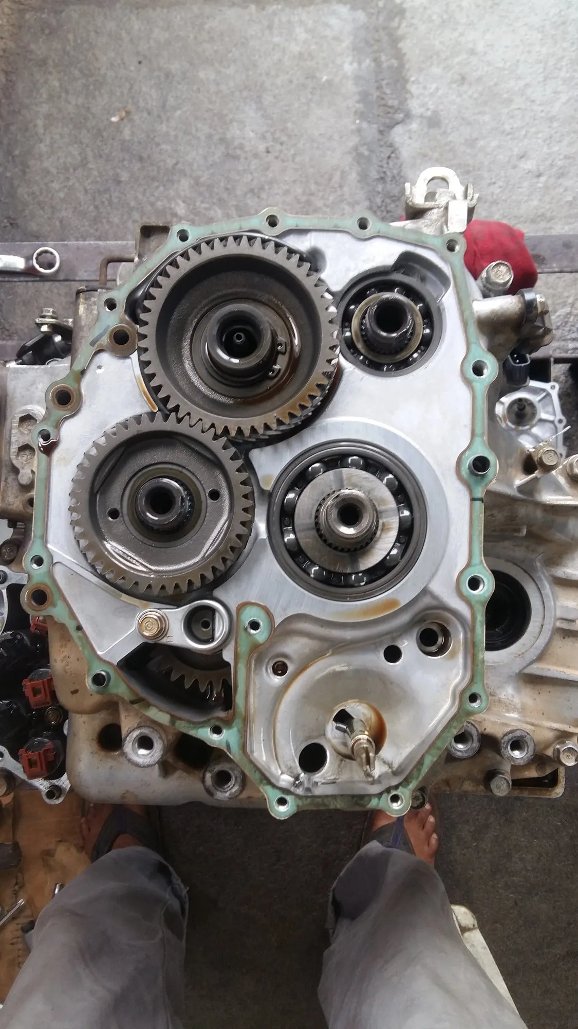 Open gearbox case showing the transfer gears